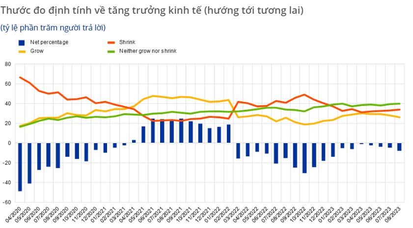 Thị trường lao động và tăng trưởng kinh tế